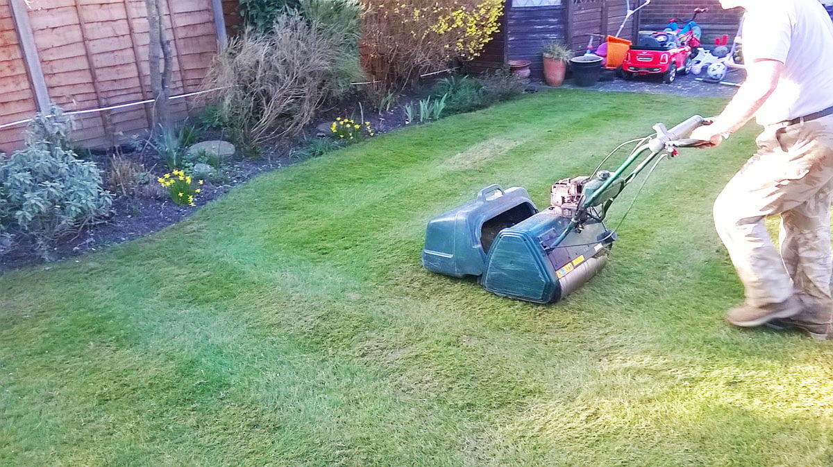 Wertykulacja trawnika Warszawa